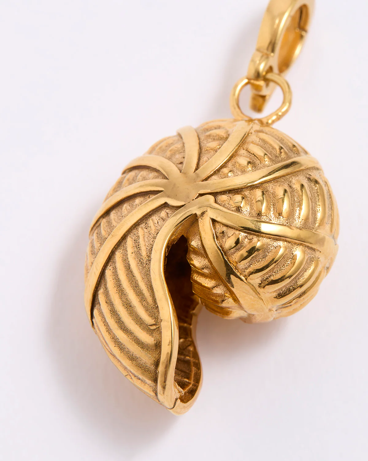 Nautilo Charm - Image 3