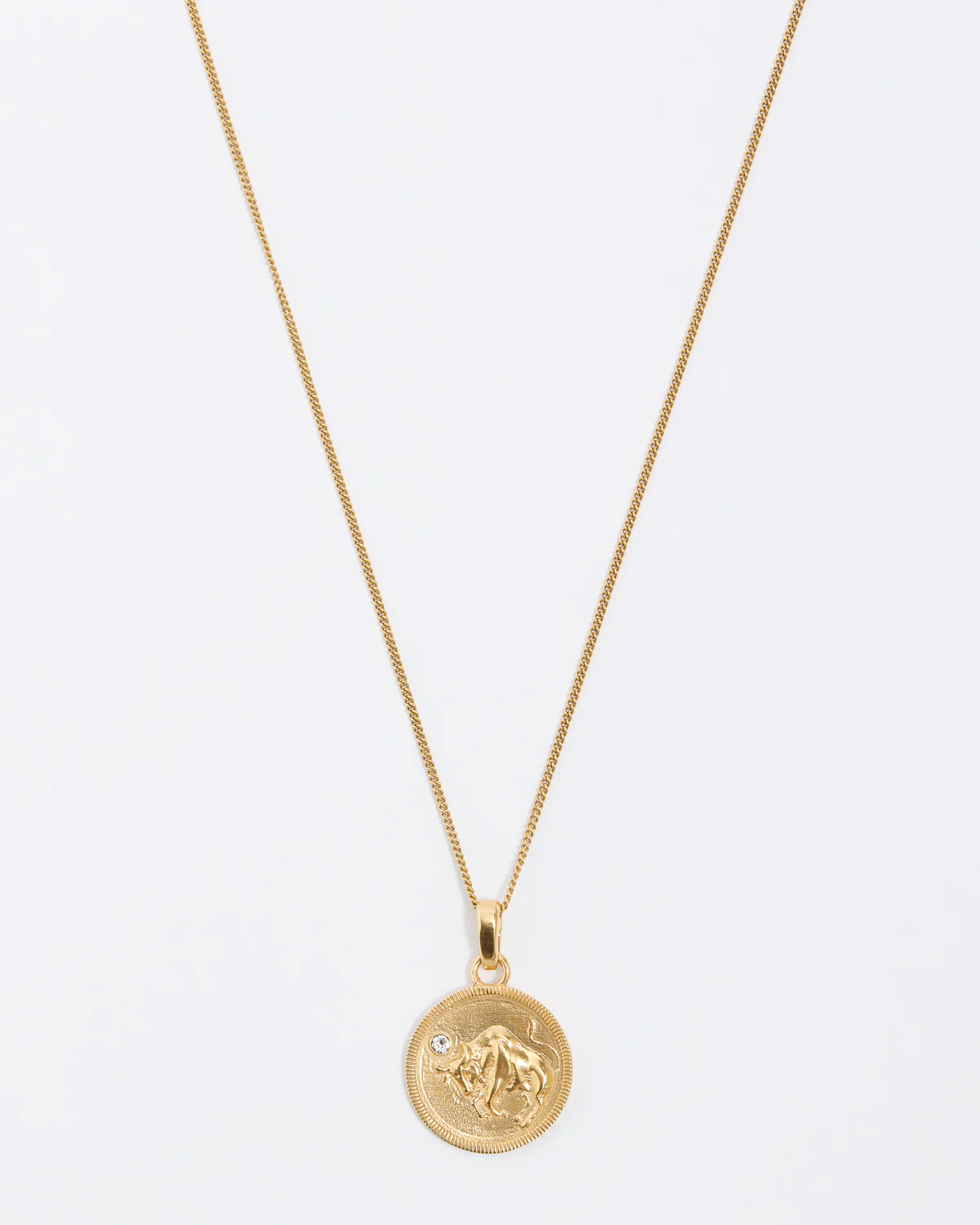 Zodiac Pendant Necklace - Image 9